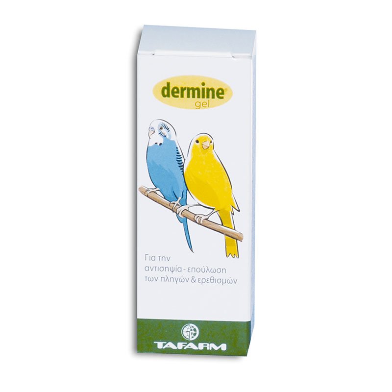 DERMINE gel 4ml (ΠΛΗΓΕΣ-ΕΡΕΘΙΣΜ)