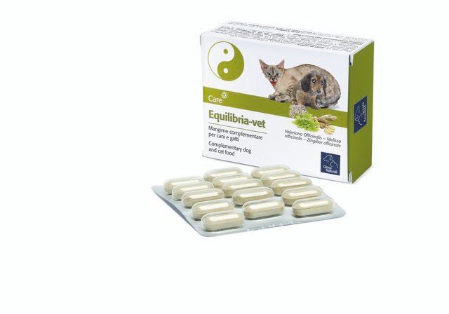 EQUILIBRIA-VET 1gr-60cpr (1)