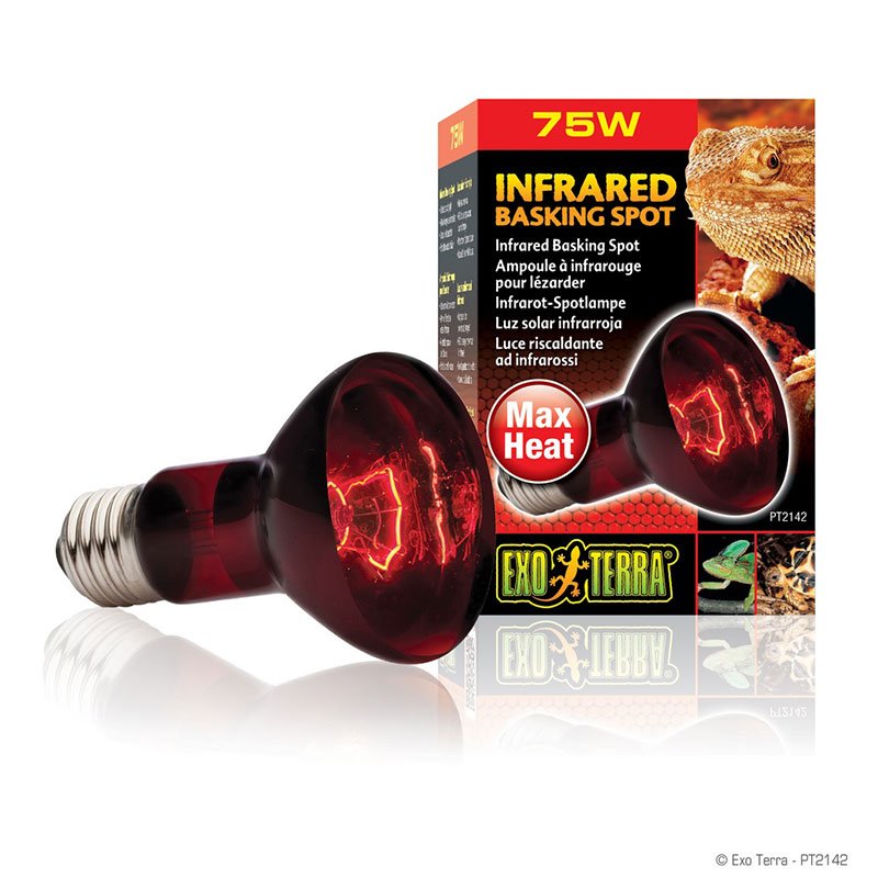 ΛΑΜΠΑ ΥΠΕΡΥΘΡΗ 75W ΘΕΡΜΑΙΝΟΜΕΝΟΥ ΣΗΜΕΙΟΥ